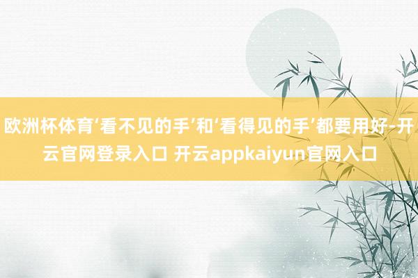 欧洲杯体育‘看不见的手’和‘看得见的手’都要用好-开云官网登录入口 开云appkaiyun官网入口