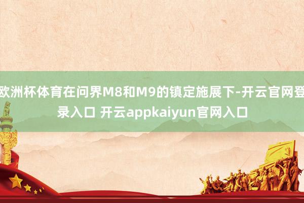 欧洲杯体育在问界M8和M9的镇定施展下-开云官网登录入口 开云appkaiyun官网入口