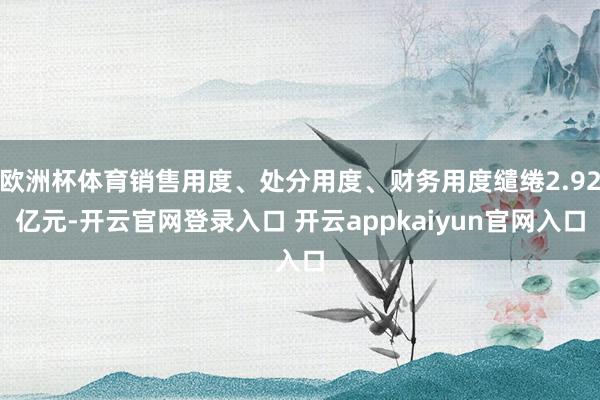 欧洲杯体育销售用度、处分用度、财务用度缱绻2.92亿元-开云官网登录入口 开云appkaiyun官网入口